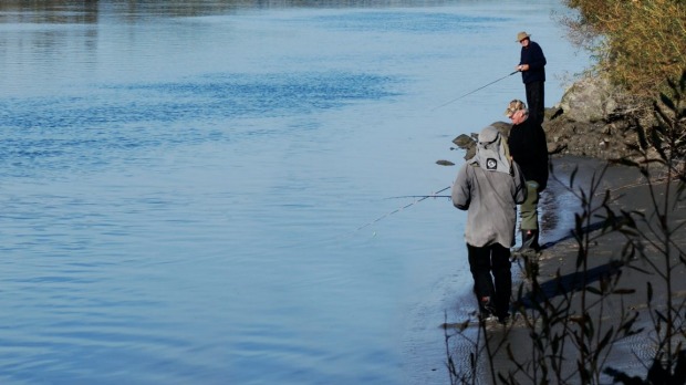 The Waimakariri River may face winter fishing restrictions because of poor water quality.