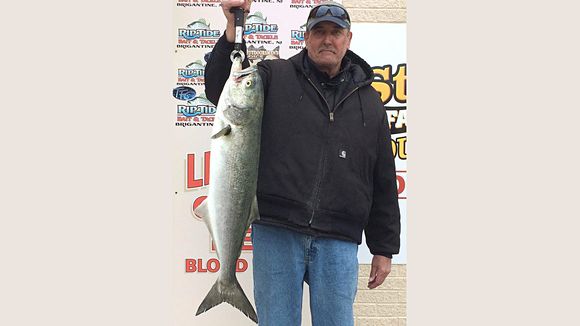Carl Polus with a big bluefish he caught in Brigantine using finger mullet. (Photo: RipTide Bait and Tackle, Brigantine NJ)