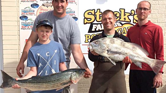A couple more for the board as Phil and Konor had a 13 pound drum and a 19 pound bass. (Photo: RipTide Bait and Tackle, Brigantine NJ)