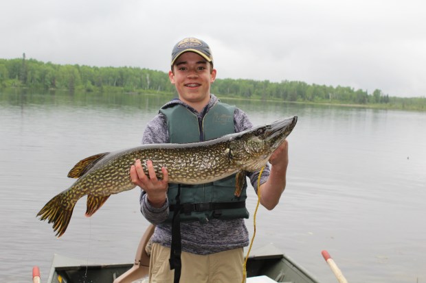 Shane Sullivan, 15, of Hugo caught this 12-pound northern pike May 28 near Grand Rapids. (Photo courtesy Patrick Sullivan)