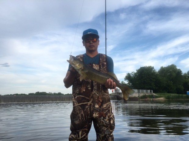 Phuoc Huynh of St. Paul caught this walleye on a north metro chain of lakes May 31. (Photo courtesy Phuoc Huynh)