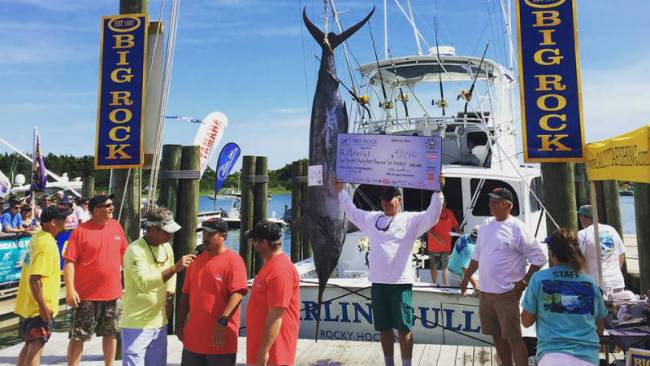 &nbsp;The Marlin Gull&#039;s catch weighed in at 564.8 pounds. (Source: The Big Rock Blue Marlin Tournament Facebook page) 