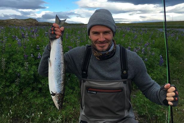 Cool combination: Iceland and David Beckham