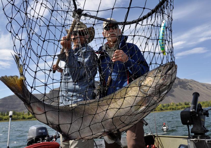 Salmon fishing guide Dave Grove nets a fall chinook for David Moershel of Spokane while fishing on the Columbia River. (Rich Landers)