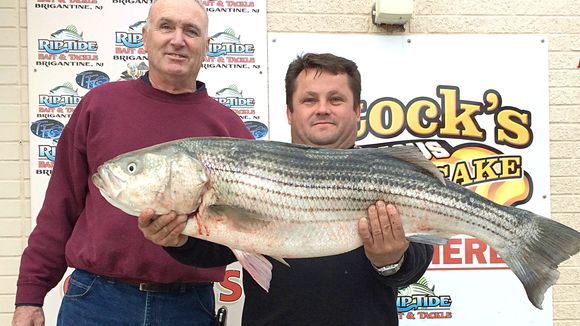 Wieslaw Czajka caught his first striper fishing on his friends 14&#039; boat in the back bays of Brigantine, NJ. It was 40&quot; and weighed 23 lbs. The back bays continue to give up nice bass. 11/18/15. (Photo: Riptide Bait and Tackle, Brigantine NJ)
