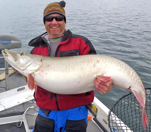Monster muskie: Dominic Hoyos of Stillwater hoisted a bulbous muskie he called the “Queen of Mille Lacs.’’ The fish was caught on Lake Mille Lacs the day before Thanksgiving with his friend Dean Block of Ramsey.